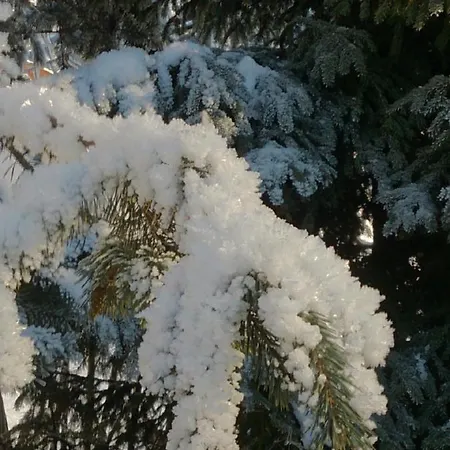 Quellenhof D04 Апартаменты *