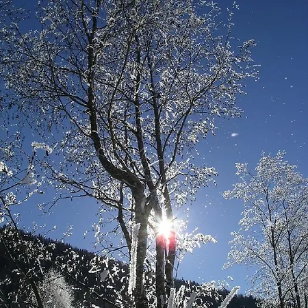 Quellenhof D04 Апартаменты Давос