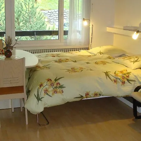 Apartmán Quellenhof D04 Davos