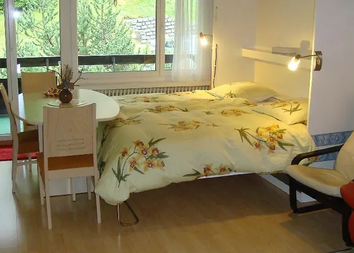 Appartement Quellenhof D04 Davos