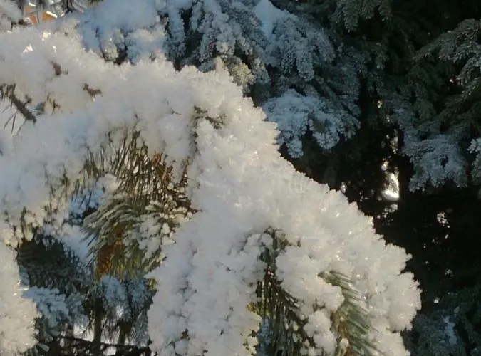 Quellenhof D04 아파트 *