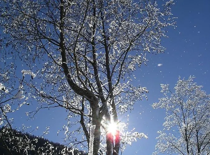 Quellenhof D04 아파트 다보스