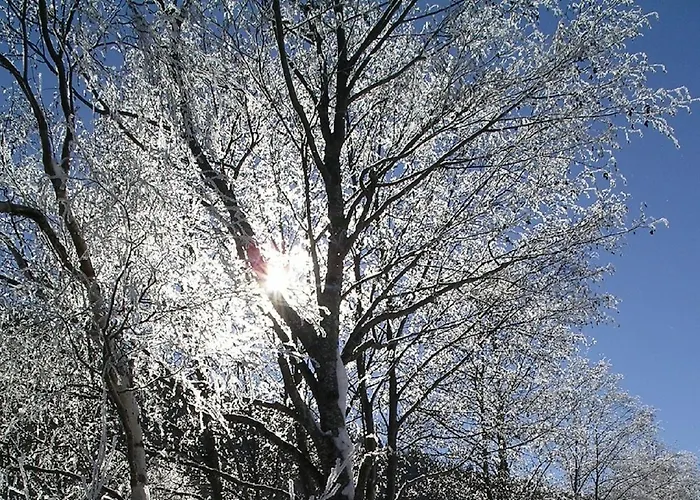 Quellenhof D04 아파트